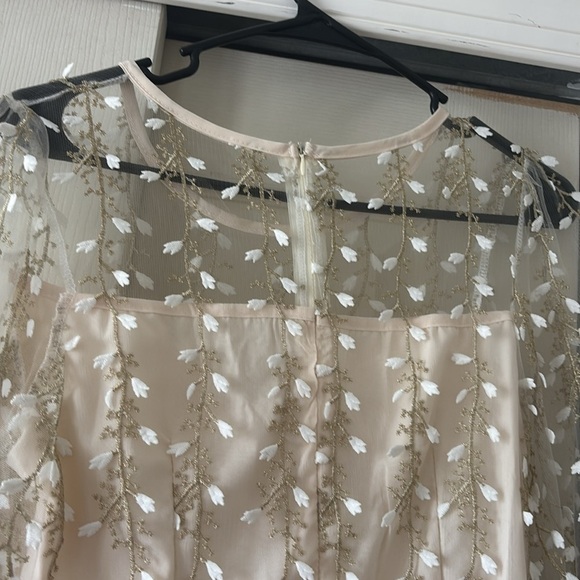 Elegant Cream Dress with Sheer Floral Overlay - Picture 5 of 5